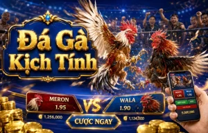 bagsaaa Đá Gà